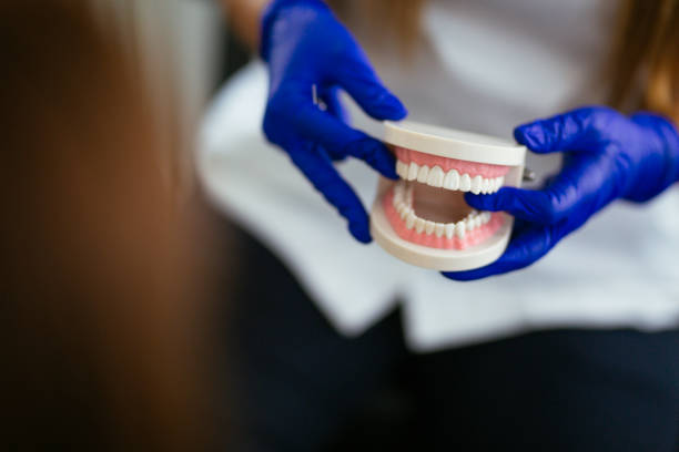 Best Dental Exams and Cleanings  in Malta, IL